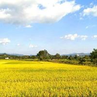 立秋别急着进补！今年秋包伏养生顺序搞反，越补越虚