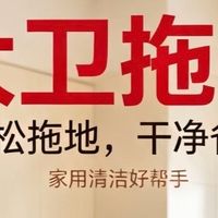 大卫拖把：性价比高的家用选择