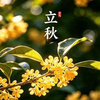 今年立秋不一般！晚立秋撞上秋包伏，养生别急着贴膘，先做这件事