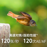 5499元 索尼FE 100-400mm F5.6-8 OSS镜头发布：平民也能打鸟