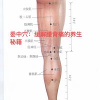 膝盖后面这个“止痛开关”，每天按3分钟，腰腿酸痛悄悄好了