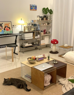 出租屋空房逆袭！两千块搞定ins风客厅，养猫党直接抄