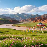 央视主持人和演员扎堆打卡！青海这个村庄凭什么夏天只有19℃？