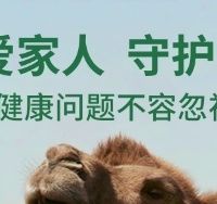 5款中老年助眠补品，温和调理不依赖，睡前喝