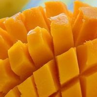 秋天吃雪糕，不如吃这5种“冷冻仙果”，零添加！口感秒杀冰淇淋
