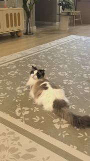 低成本提升房间温馨感