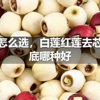 莲子怎么选，白莲红莲去芯莲到底哪种好