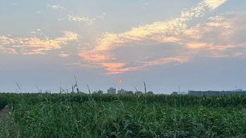 一眼永恒的传奇：盘点2026七夕必选的大牌经典钻石项链