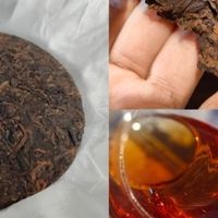 靠谱的云南普洱熟茶品牌有哪些:云南龙骋号茶业专业熟茶权威出品