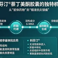 常年腰腿酸痛、晨起关节僵硬？科芬汀萘丁美酮对症缓解超管用！