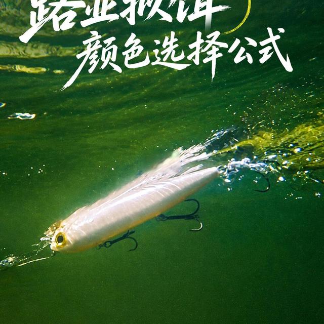 路亚选饵别再靠运气！搞懂这3个核心维度，新手也能精准匹配不同鱼情水情