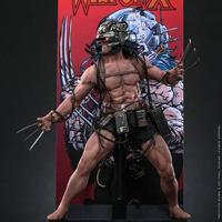 金刚狼人偶怎么选？Hot Toys限量款/漫画还原/性价比推荐一文全懂