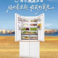 救命！国补真香✨海尔麦浪2.0新品冰箱5799直接拿下