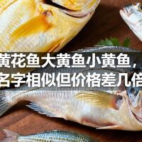 黄花鱼大黄鱼小黄鱼，名字相似但价格差几倍