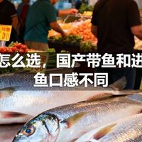带鱼怎么选，国产带鱼和进口带鱼口感不同