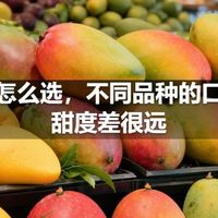 芒果怎么选，不同品种的口感和甜度差很远