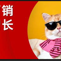 不懂“萌宠”叙事的品牌，正在失去年轻人