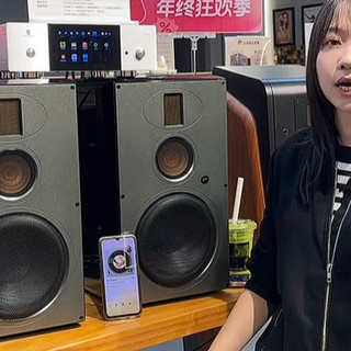 Bose还是惠威?看完这篇不再纠结!家庭影院音响选购避坑指南