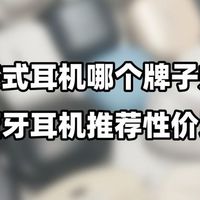 耳夹式耳机哪个牌子好？耳夹式蓝牙耳机推荐性价比高分享