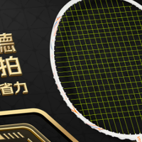 2026羽毛球拍选购指南：新手拉磅选型全攻略