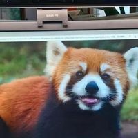 大学开学买啥？大学新生数码装备分享，能让你的大学生活更舒适