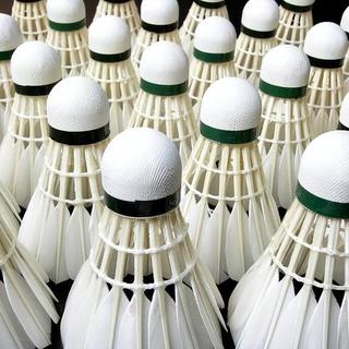 羽毛球终于降价了！降幅多少？哪些品牌真让利？球友等了两三年的好消息