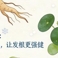 哪个洗发水能解决顽固头屑瘙痒?2026高口碑去屑止痒产品实测