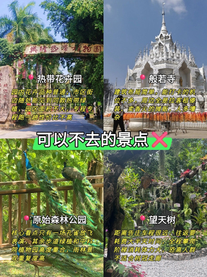 国内度假
