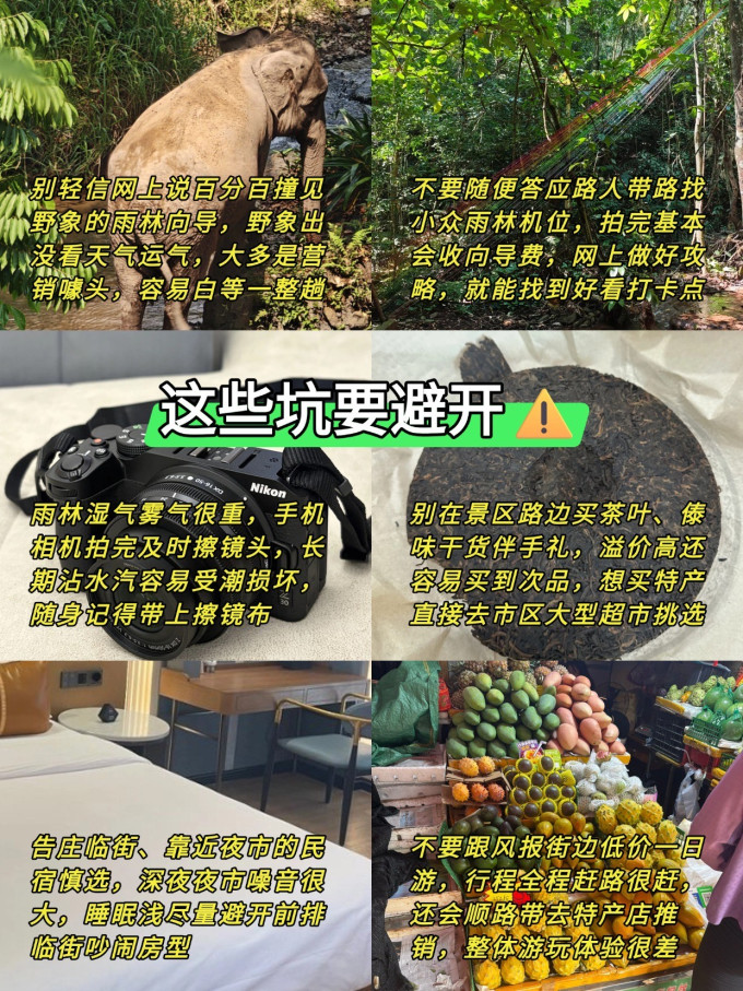 国内度假