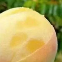 江苏新沂山水蜜桃，清甜爆汁