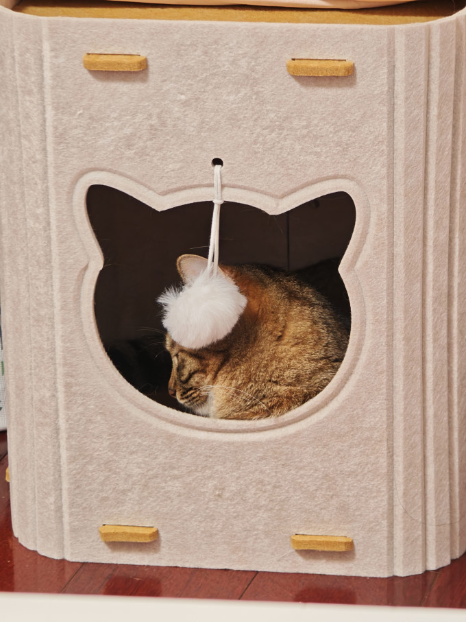 小猫日记猫抓板