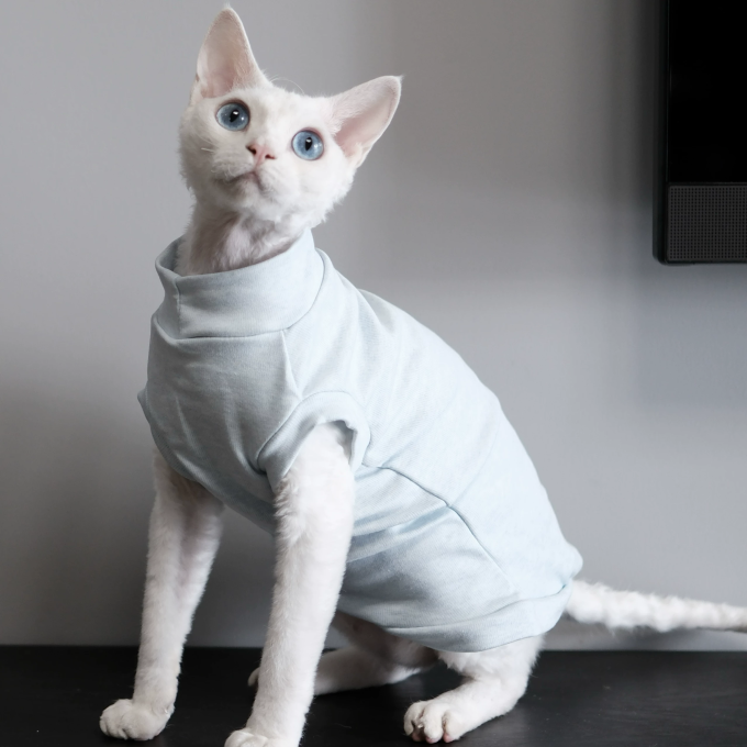 猫粮