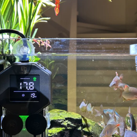 一米鱼缸用多大的加热棒?从容量计算到实际选购,选对水族加热设备