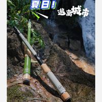 夏日钓鱼：轻便鱼竿选择与技巧