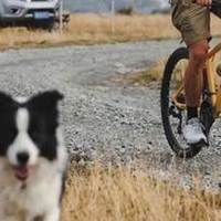 质价比高的2026千元成人新手入门款山地自行车，开启骑行初体验！