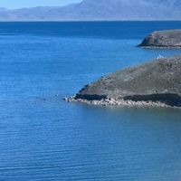 首个“高反预防药”获批：火车进藏党囤的红景天，要不要扔？