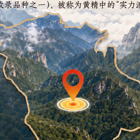 寒湿体质三伏天食补选择黄精怎样做到补而不滞？2026九制黄精挑选