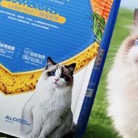 宠观网榜单测评：2026十大性价比猫粮哪种靠谱？5款全价猫粮实测