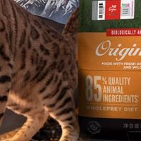 宠物行业白皮书：2026十大性价比猫粮如何定夺？多款热门猫粮实测