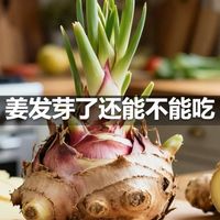 姜发芽了还能不能吃