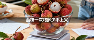 荔枝一次吃多少不上火