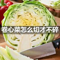 卷心菜怎么切才不碎
