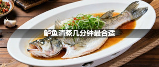 鲈鱼清蒸几分钟最合适