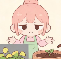 新手养绿植最容易踩的几个常见坑