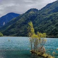 给父母买鱼油别只看品牌,3款常见产品拆开比,EPA+DHA差距比想象大
