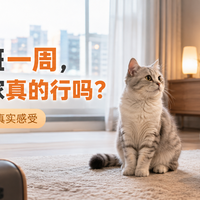 出差/加班一周，猫自己在家真的行吗？试过的 3 种方案和真实感受