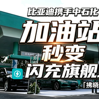 比亚迪和中石化干了票大的?油站变闪充站!
