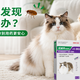 猫狗同时发现跳蚤怎么处理？纽威特猫犬专属组合更适合多宠家庭