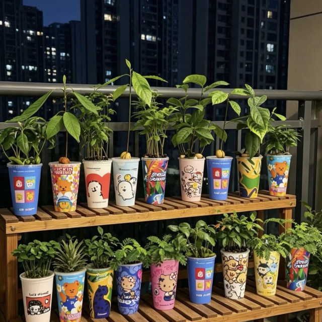 喝完的奶茶咖啡杯不要扔 大有用处！