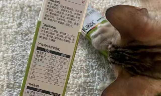 铲屎官实测✨猫咪排毛别再硬喂化毛片！